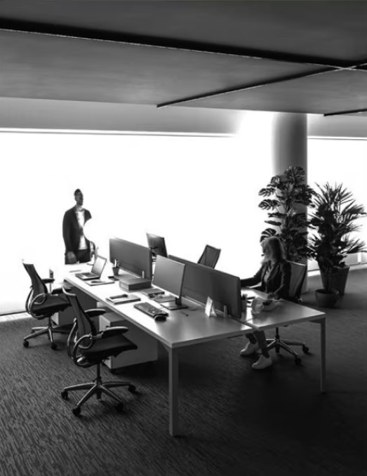 ZZ Office Furniture Showroom